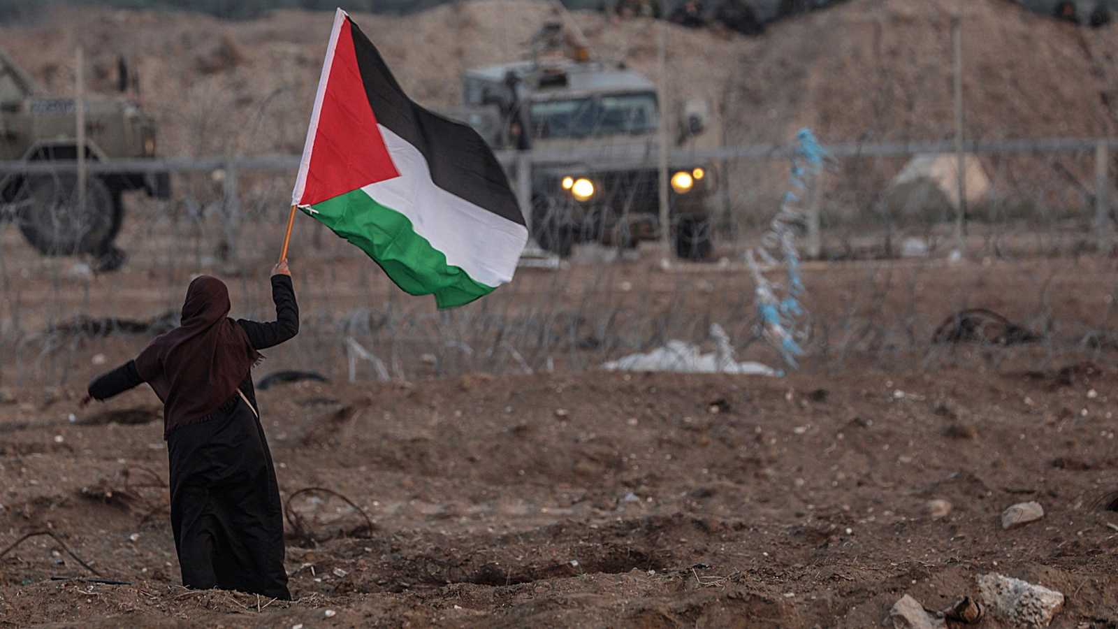 (Fotos) Asedio israelí contra Gaza también acaba con la fauna