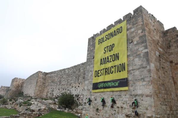 Greenpeace pide a Bolsonaro detener la destrucción del Amazonas