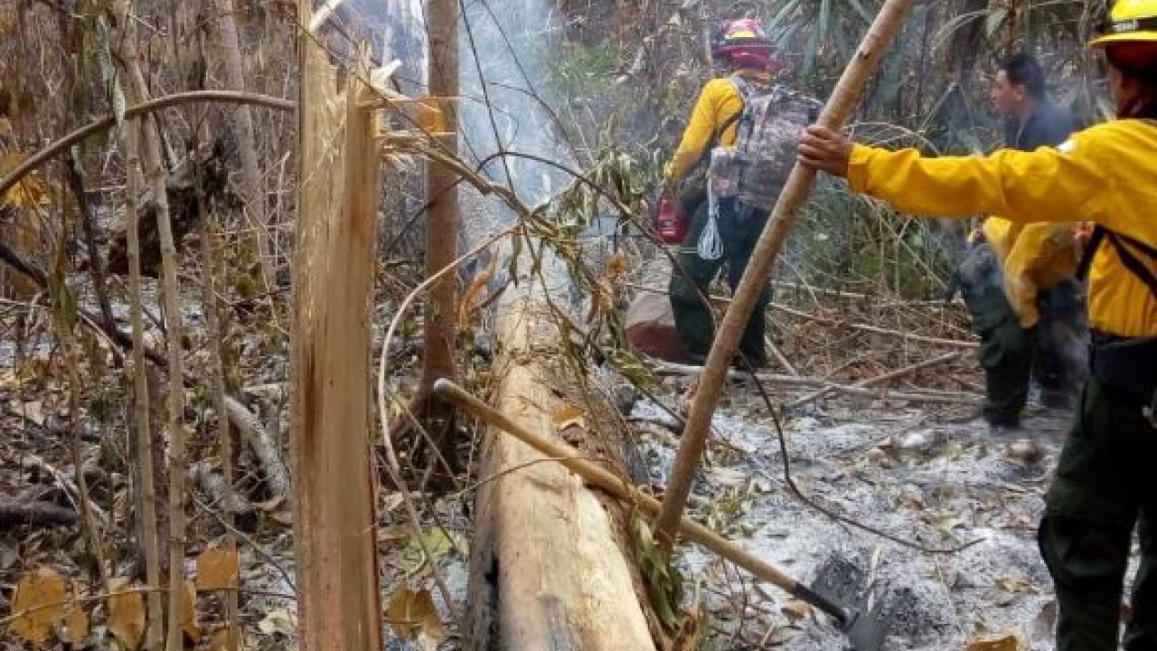 (Video) Incendios consumen 2.349 hectáreas de bosque en Guatemala