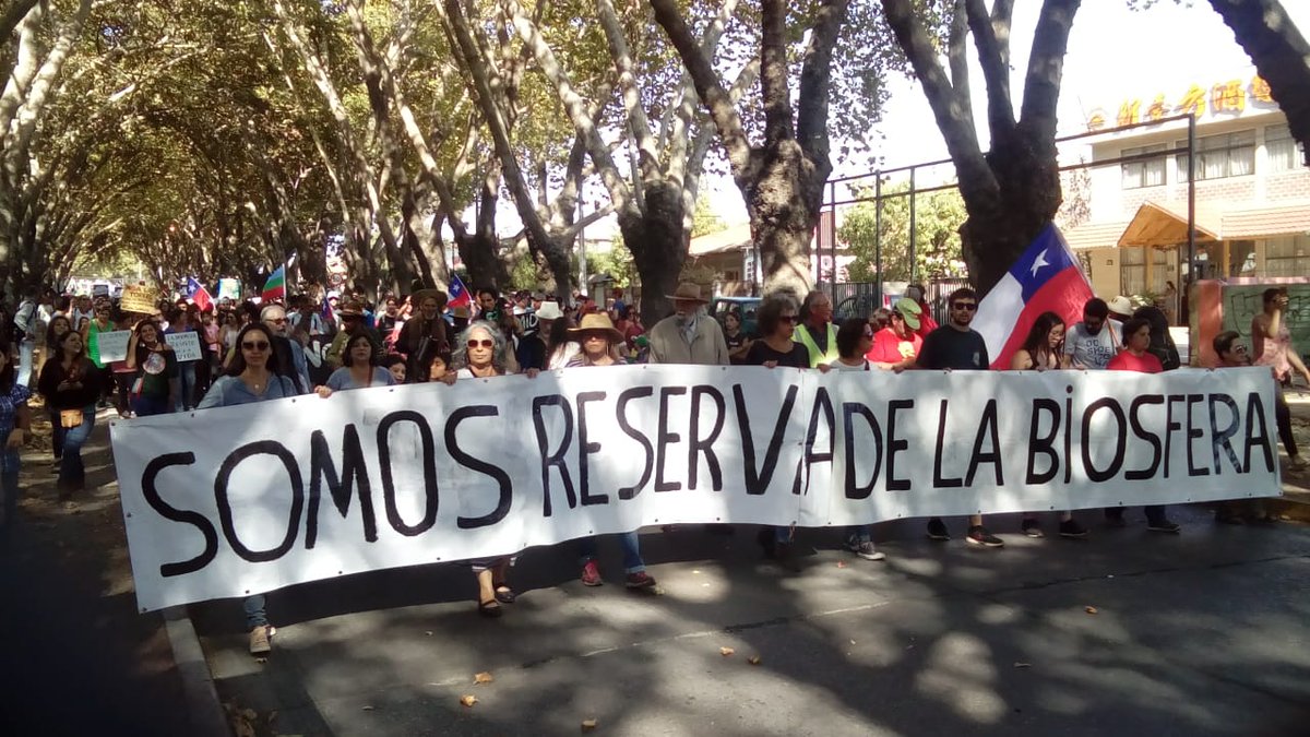 Limache: Multitudinaria marcha en defensa de la Reserva de la Biosfera