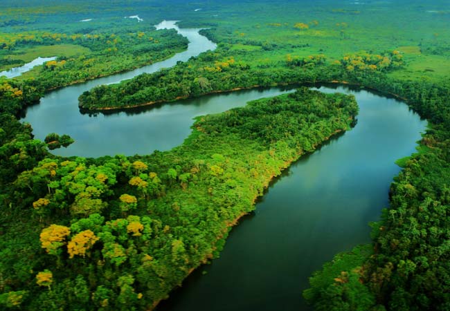 Brasil, Bolivia y Paraguay se comprometen a preservar el Pantanal