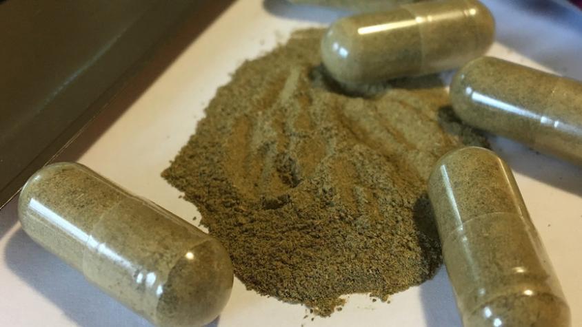 Alerta por el Kratom, un suplemento asociado a la muerte de 91 personas