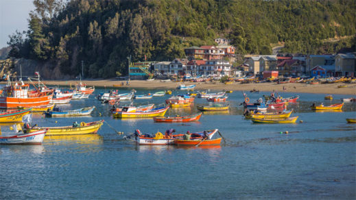 «Se pasaron por no sé dónde a Caleta Tumbes»: Vecinos encaran a alcalde por centro de cultivo de salmones