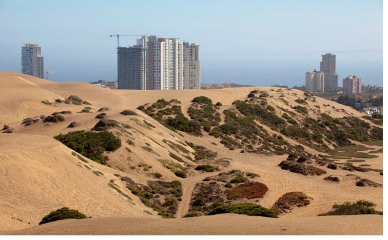Anuncian Comisión Investigadora por construcciones en dunas de Concón y Viña del Mar