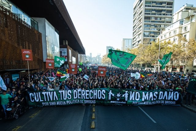 «Urge avanzar en regulación para usuarios medicinales»: Este sábado es la XV Marcha Cultiva Tus Derechos