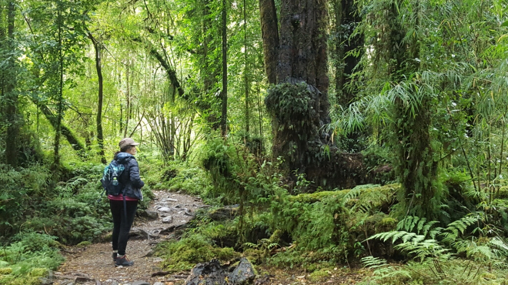 Gobierno firma acuerdo público-privado para la protección de los parques de la Patagonia