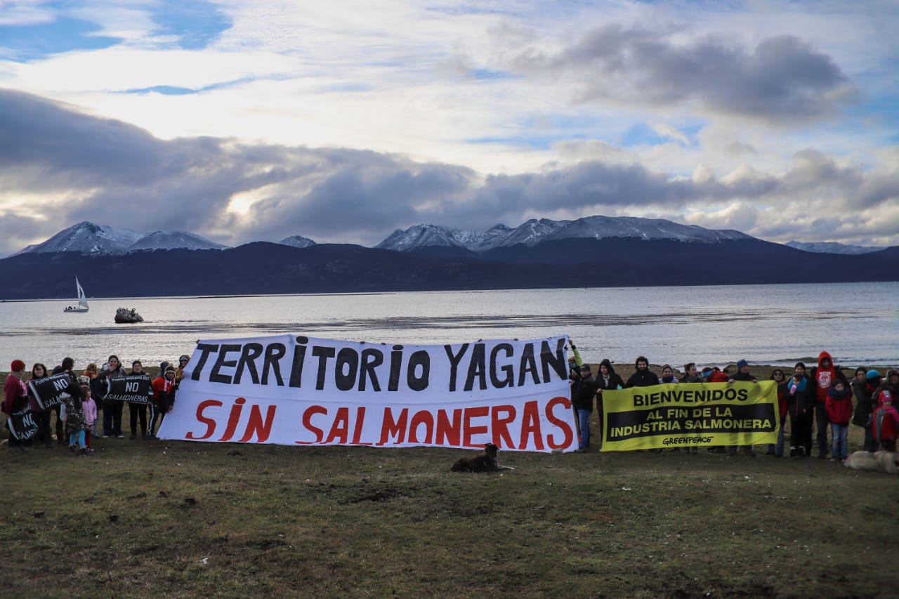 «La impunidad de las salmoneras en el Beagle ha terminado»: Celebran histórica solicitud de caducidad de concesiones a Nova Austral