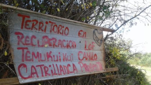 Comunidad mapuche de Temucuicui anuncia recuperación definitiva de fundo de la Forestal Mininco