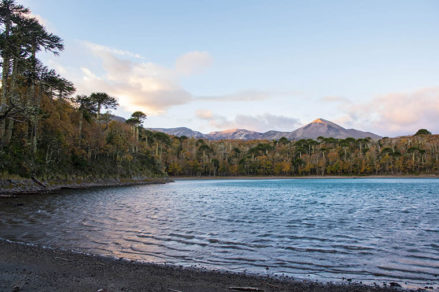 Denunciadas: Dos inmobiliarias de Pucón y Villarrica ofrecían «playas privadas» a sus clientes