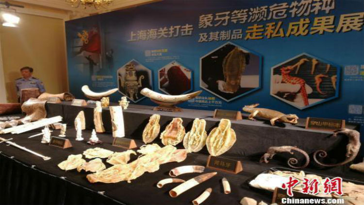 China: Se dispara contrabando de animales en Shanghai