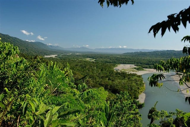 Destinan 140 millones de dólares para proteger Amazonía Peruana