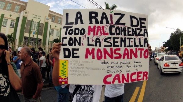 Millonaria derrota judicial para Monsanto por el cáncer que contrajo una pareja