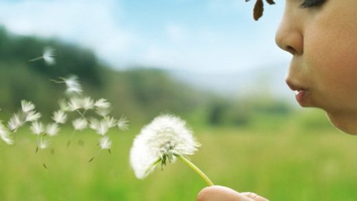 Los niños que crecen en contacto con la naturaleza llegan a ser adultos con mejor salud mental