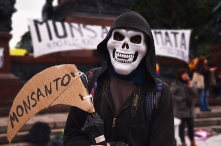 Red de Acción en Plaguicidas de Chile: Fuera Monsanto/Bayer de nuestros territorios