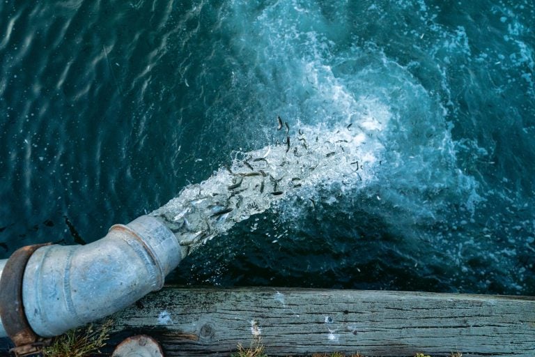 Comunidades valoran fallo de la Suprema que obliga a implementar procesos de participación ciudadana en proyectos de la industria salmonera