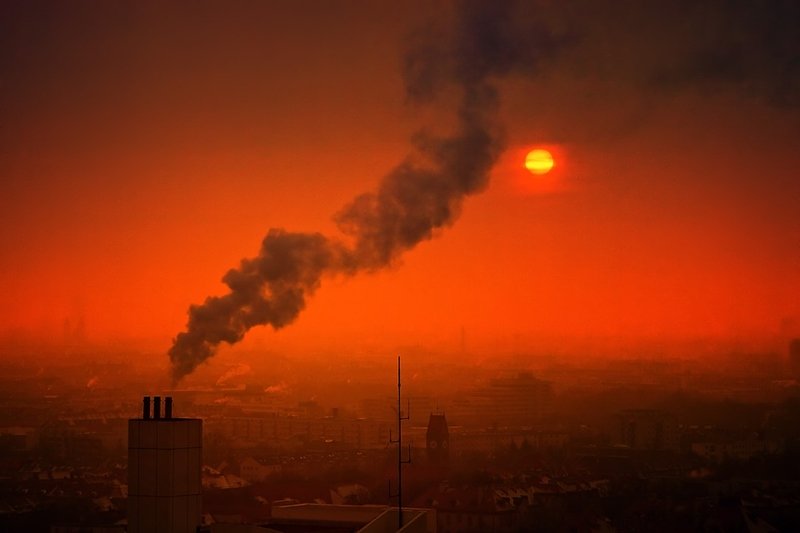 Día Mundial del Ambiente: ONU llama a gobiernos a actuar con firmeza contra la contaminación