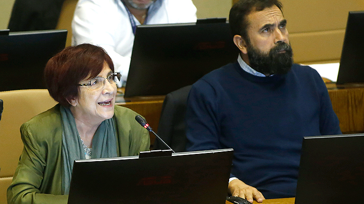 Diputada Hertz arremete contra control preventivo a menores y pide prohibir venta de armas a particulares