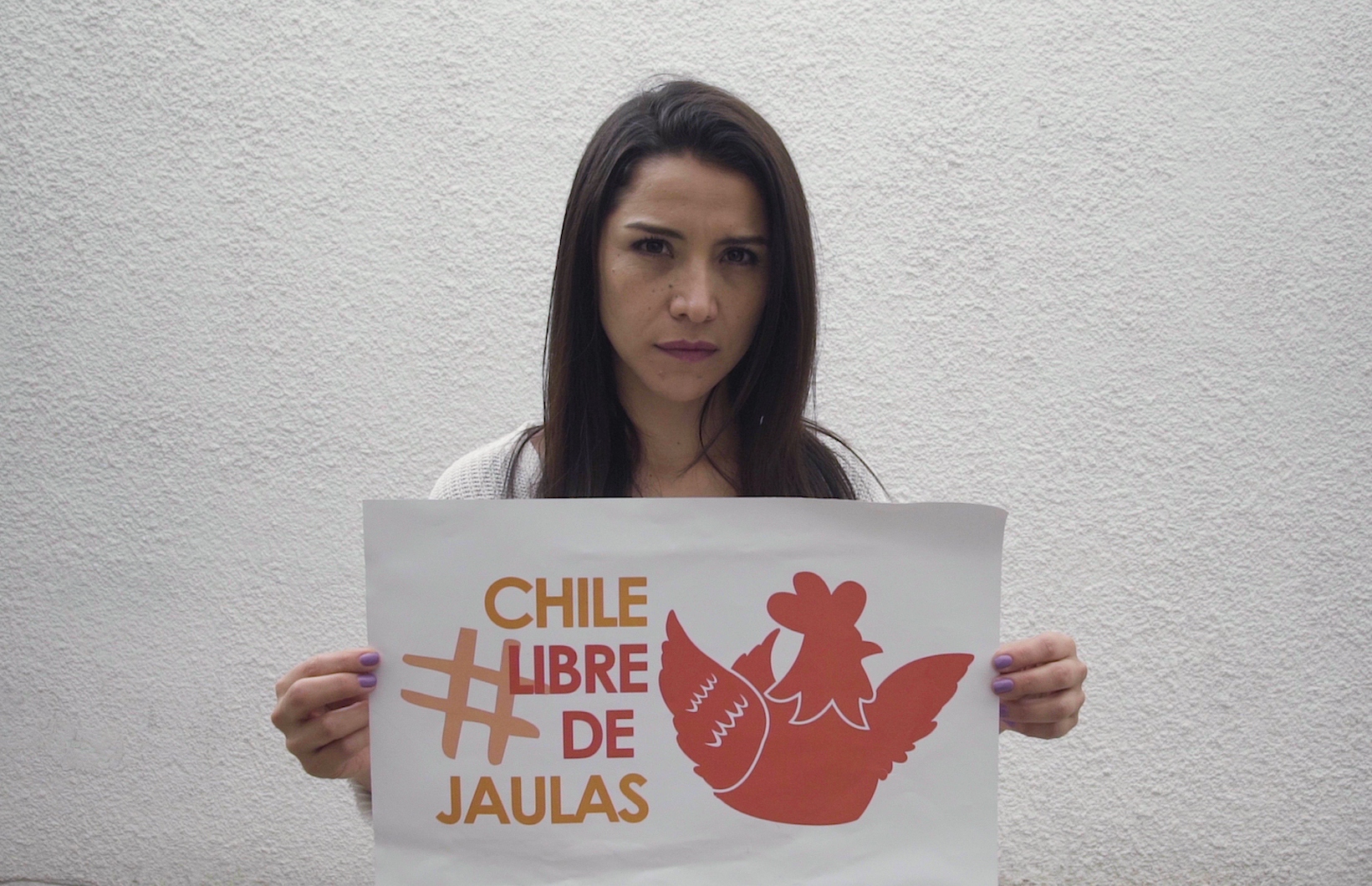 #ChileLibredeJaulas: Actrices fomentan campaña contra crueldad que viven gallinas en industria de los huevos