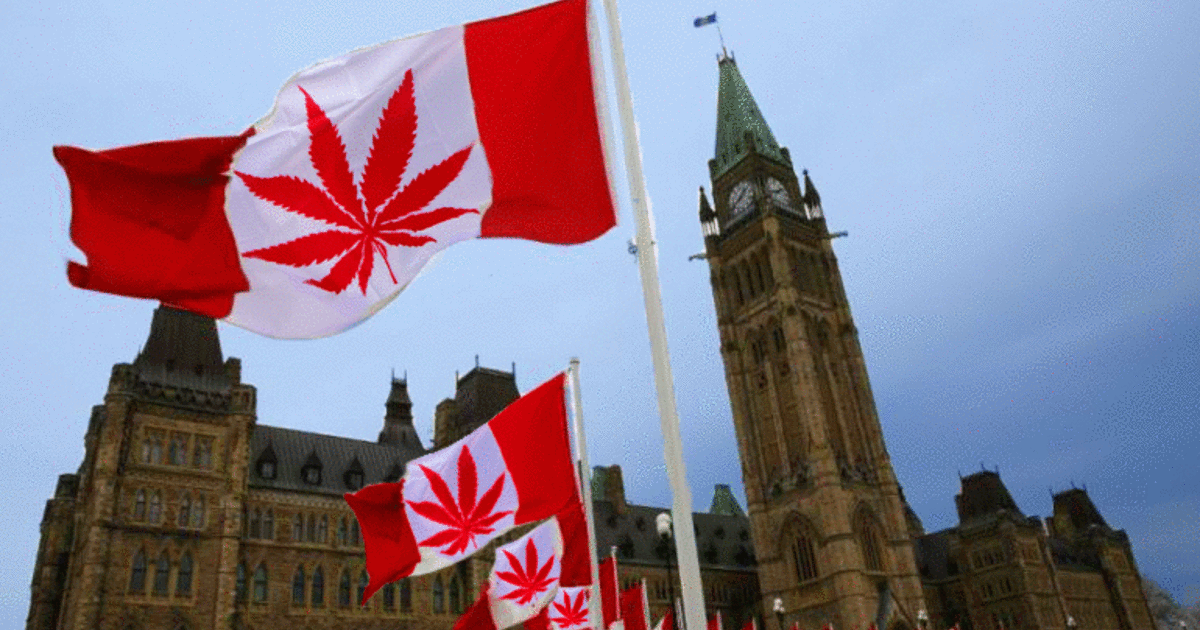 Canadá recaudó casi 140 millones por impuestos a la venta legal de marihuana