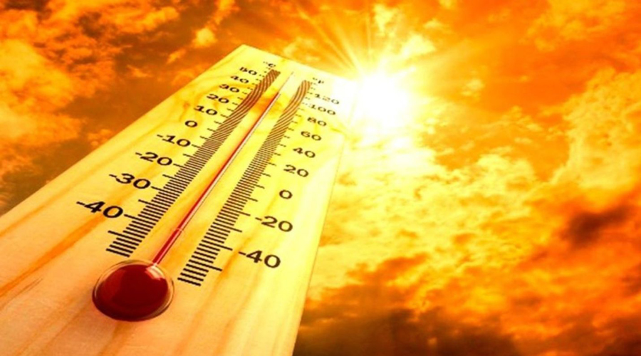 «El infierno»: Europa se prepara para ola de calor que dejaría miles de muertos