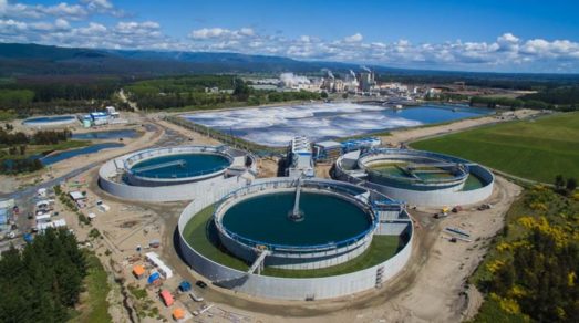 Voces territoriales frente al proyecto MAPA: Testimonios sobre la mega-expansión de Celulosa Arauco
