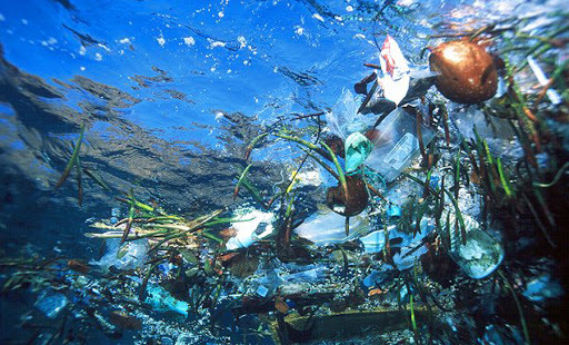 ¡Alerta! Para el 2050 habrá más plásticos que peces en los mares y océanos