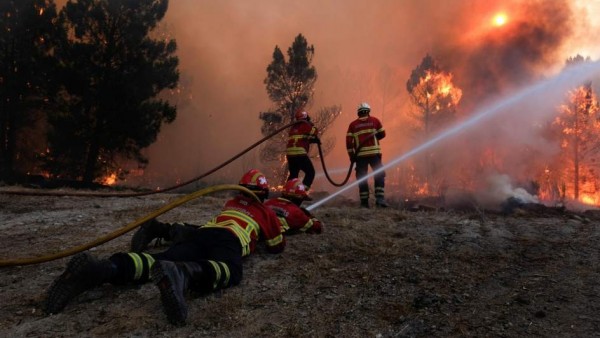 Arde Portugal: Desplegados más de 1.500 bomberos por gigante incendio forestal