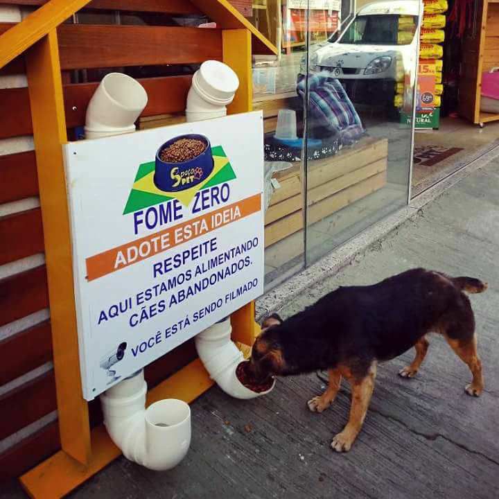 Hambre Cero: El “restaurante” que un brasileño creó para los perros callejeros