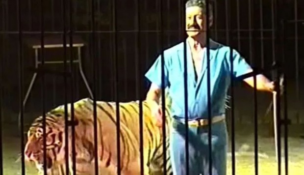 Cuatro tigres atacan y matan a su domador en un circo de Italia
