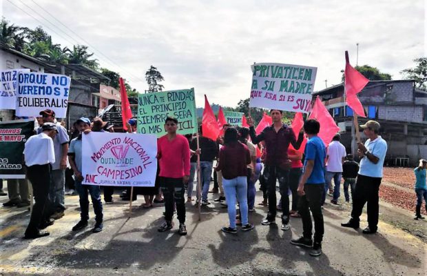 protesta privatizacion