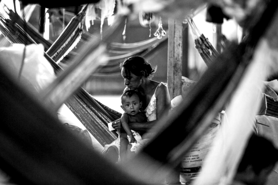 Desplazados EE. UU.