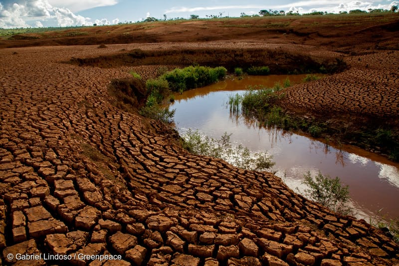 Greenpeace: “Estamos entre los 25 países del mundo que sufrirán mayor estrés hídrico al 2040”