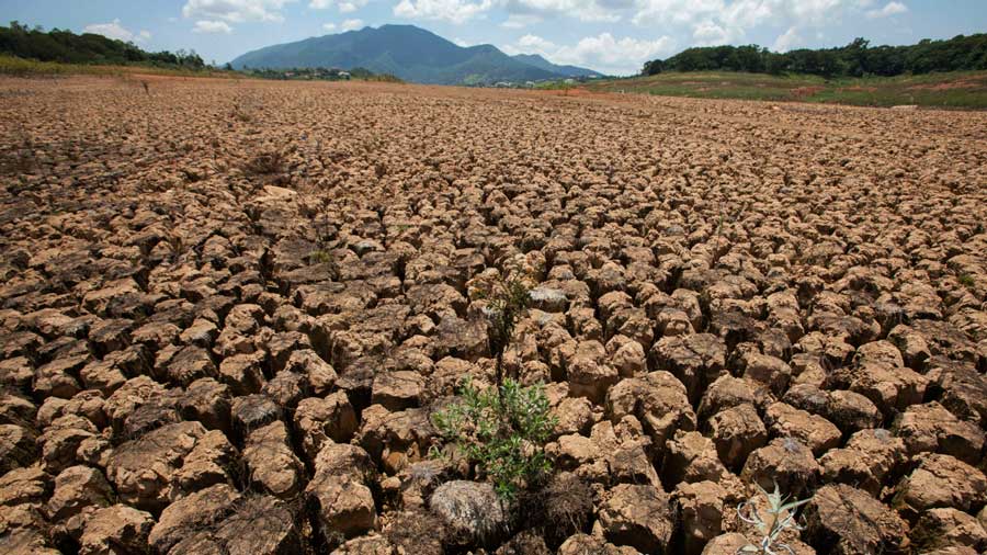 Proyecto Anillo apuesta por enfrentar el cambio climático a través de sistemas bioelectroquímicos