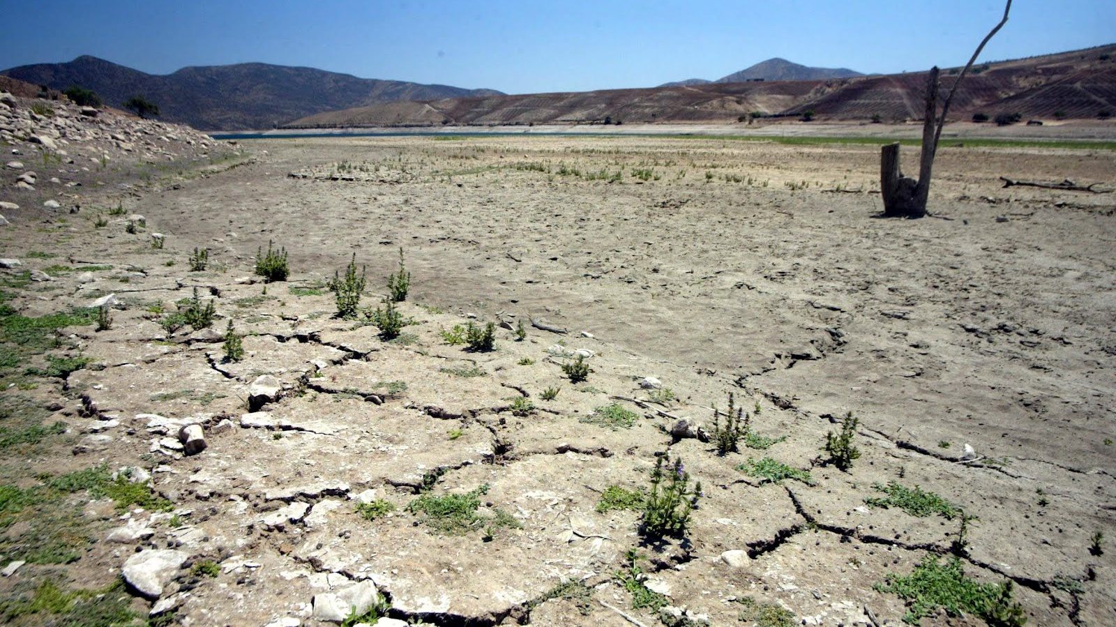 Crisis hídrica en Uruguay: Expertas advierten similitud con la realidad que se vive en varias zonas de Chile