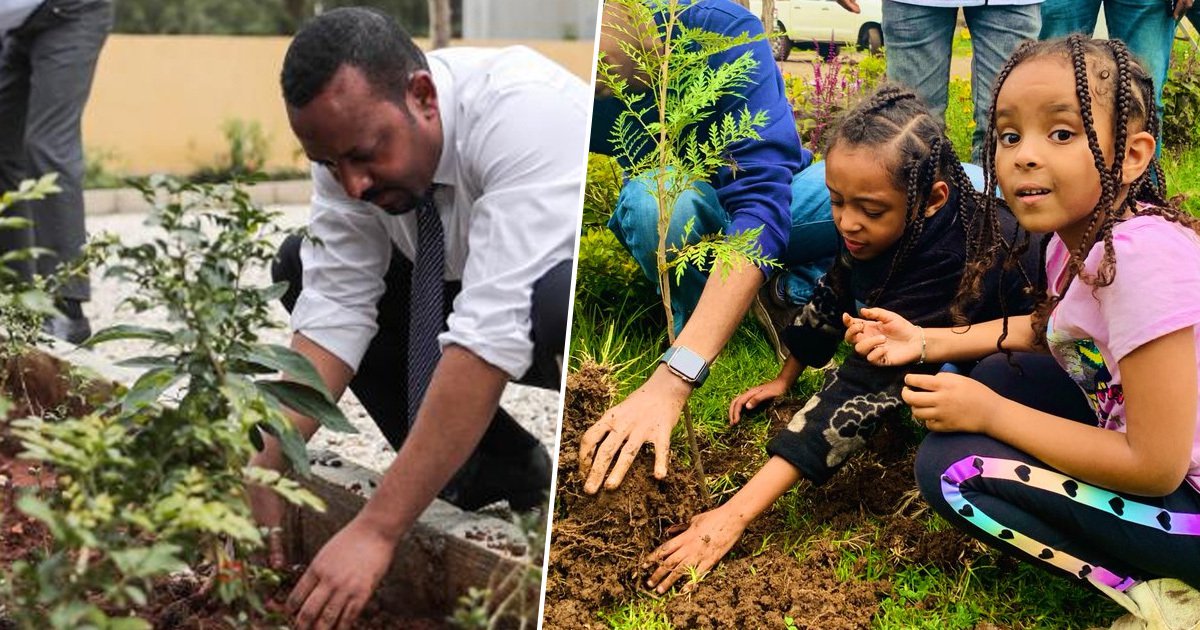 Etiopía planta 350 millones de árboles en un día para enfrentar la crisis climática