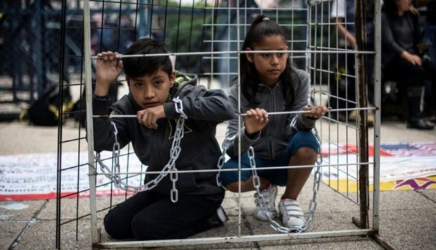 Jaulas migrantes