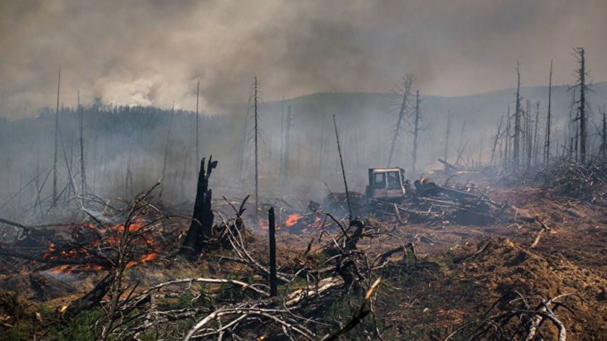 Incendios forestales arrasan ya 2,7 millones de hectáreas en Rusia