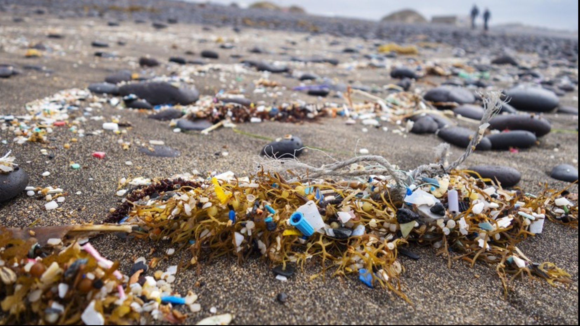 Microplásticos dan la vuelta a la Tierra en un ciclo constante de contaminación