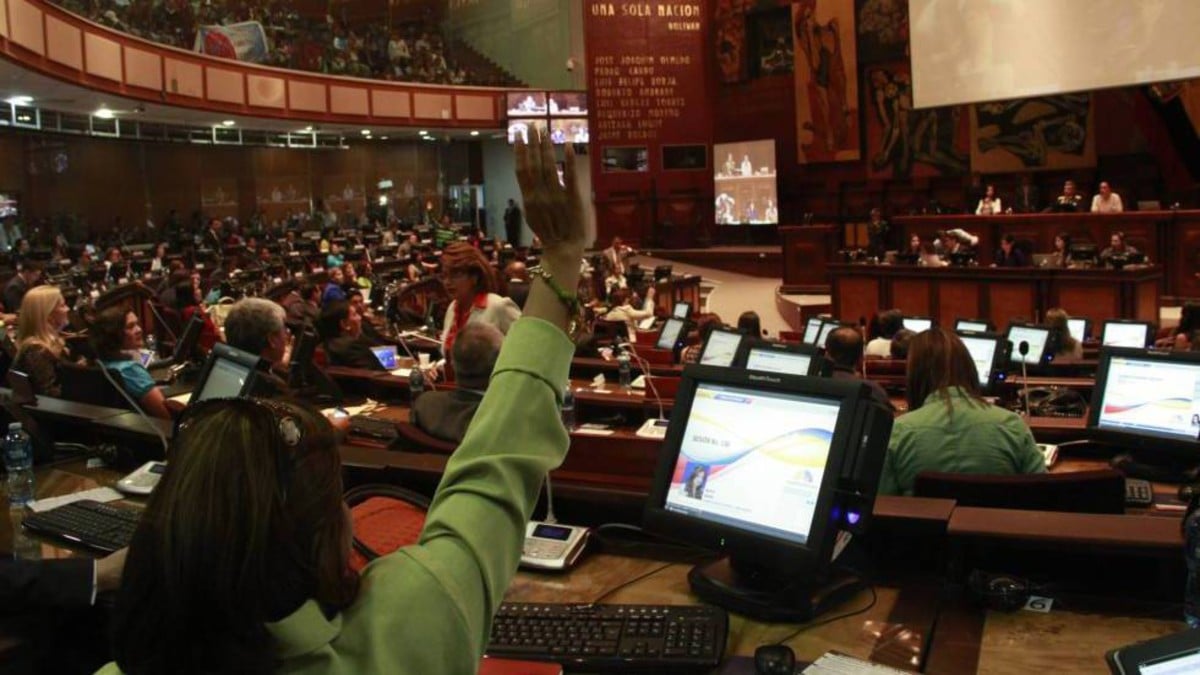 Destituyen 4 consejeros de la Participación Ciudadana en Ecuador