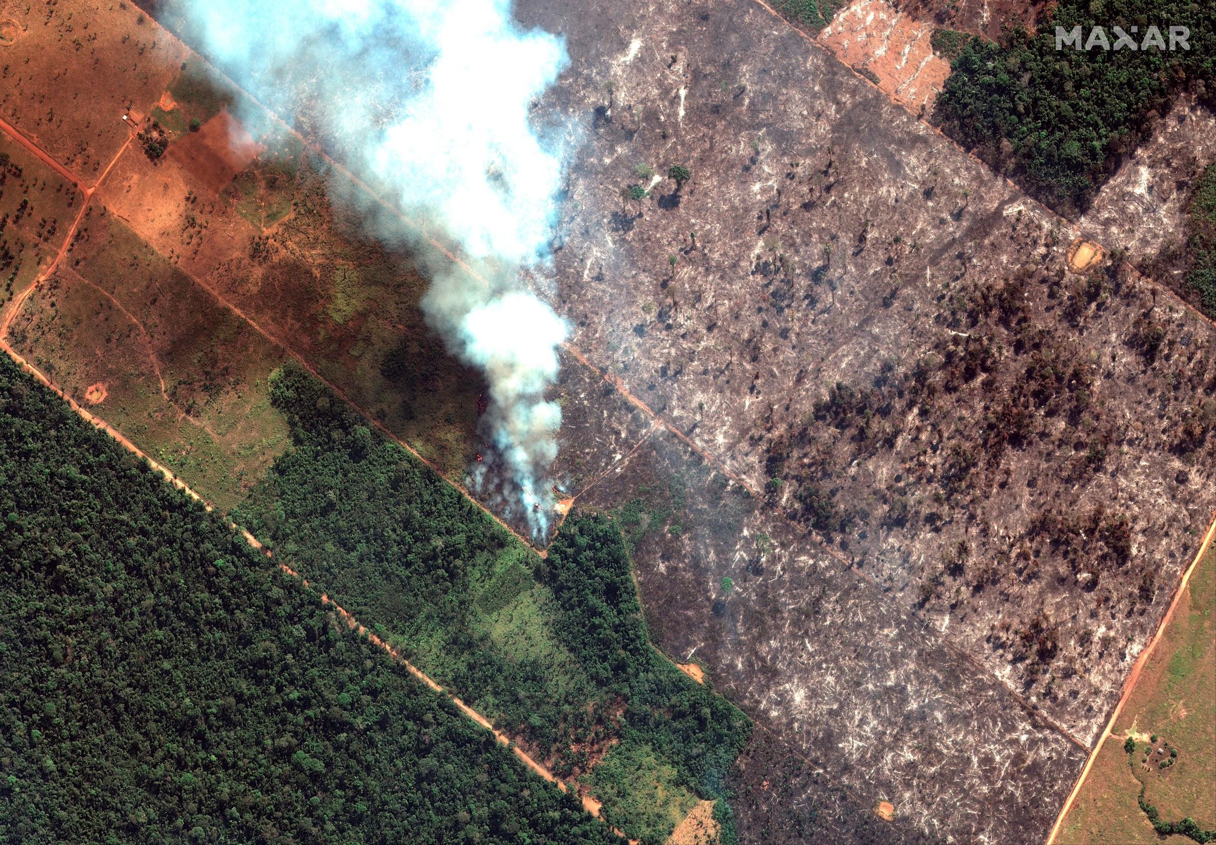Fiscalía de Brasil investiga incendios planeados en la Amazonía
