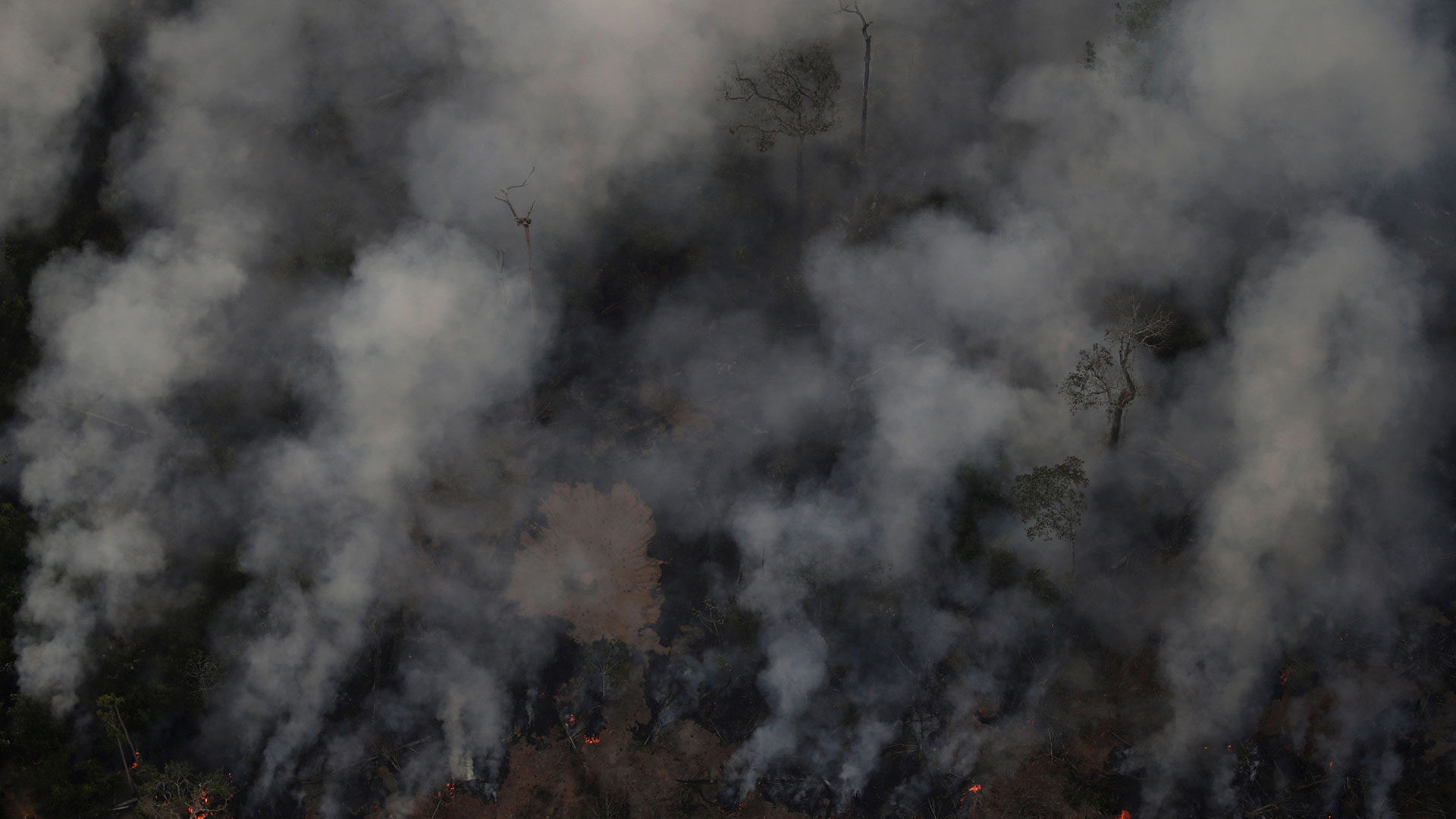 Un número récord de incendios forestales arrasa la selva Amazónica