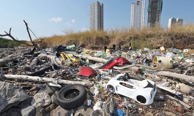 Toneladas de basura que llegan a la bahía de Panamá causan daño irreparable a manglares