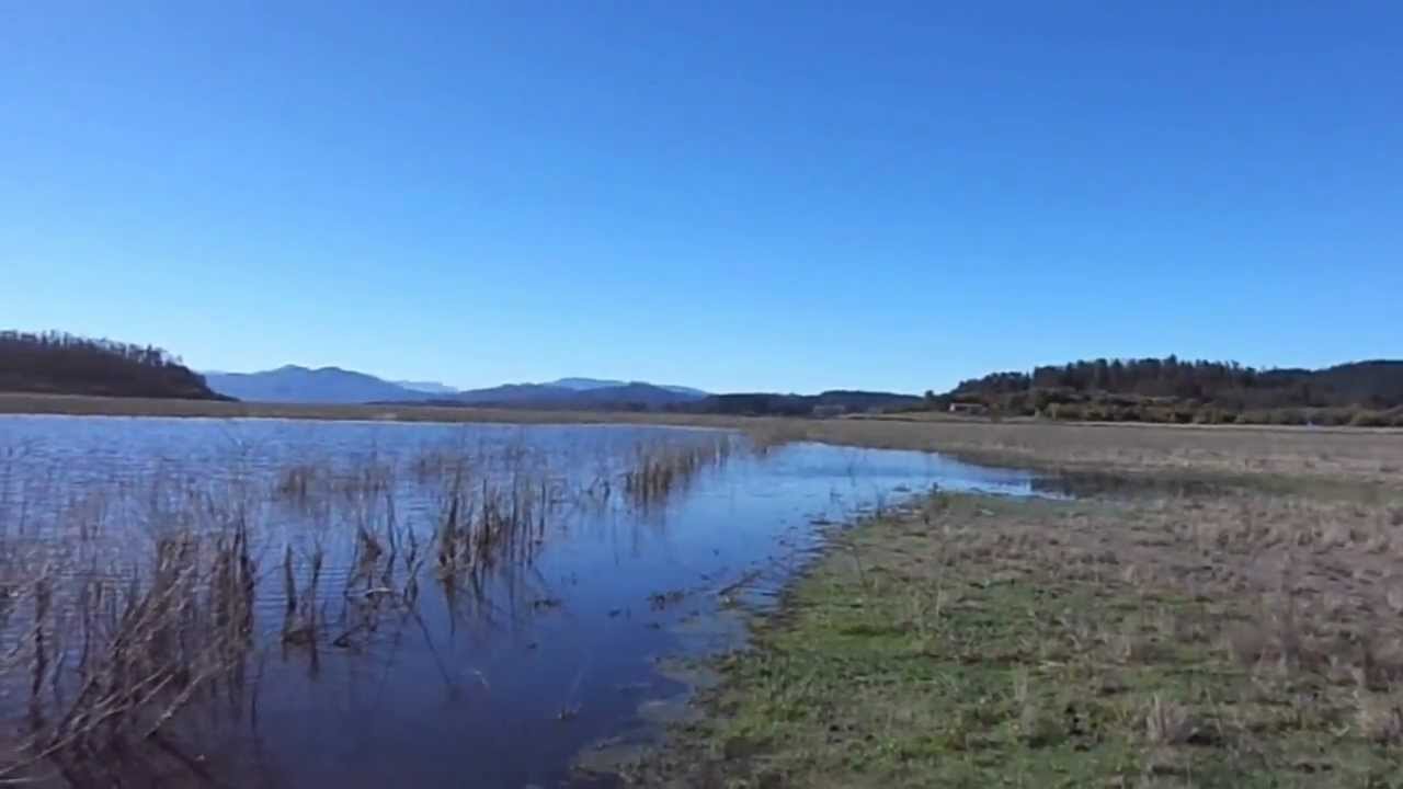 Valparaíso: Lago Peñuelas ha perdido el 90 por ciento de su capacidad hídrica