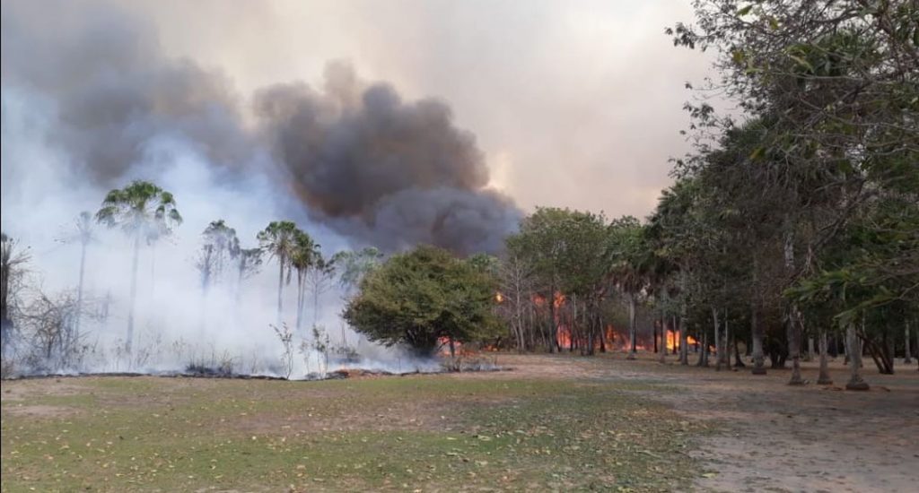Controlado voraz incendio en pantanal paraguayo