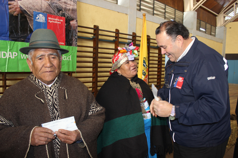 Gobierno habría pedido renuncia a seremi que trató a mapuches de «intelectualmente limitados»