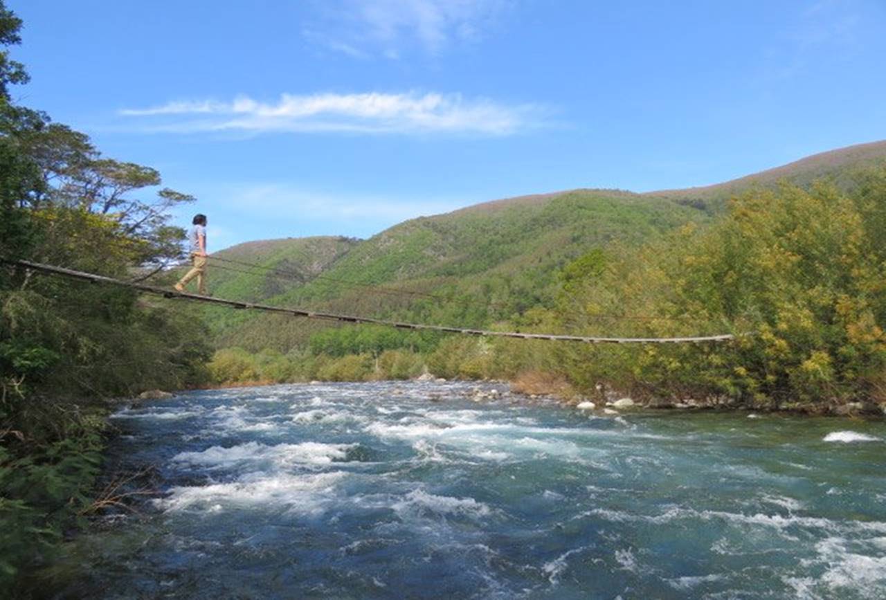 Habitantes de Collipulli presentan acción judicial para detener hidroeléctrica en el Río Renaico
