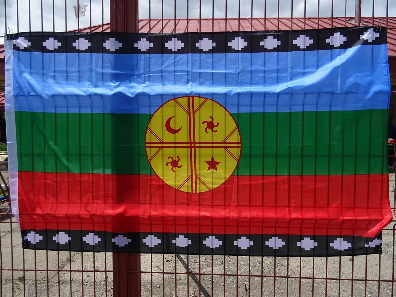 Tirúa: Comunidad mapuche recupera y ejerce control territorial en Liucura Bajo