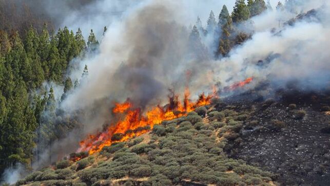 (Videos) Evacúan a 4.000 personas por nuevo incendio forestal en Gran Canaria