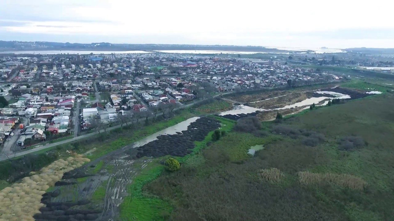 Concepción: Organizaciones piden a Contraloría que se fiscalicen protocolos tras contaminación de dos humedales