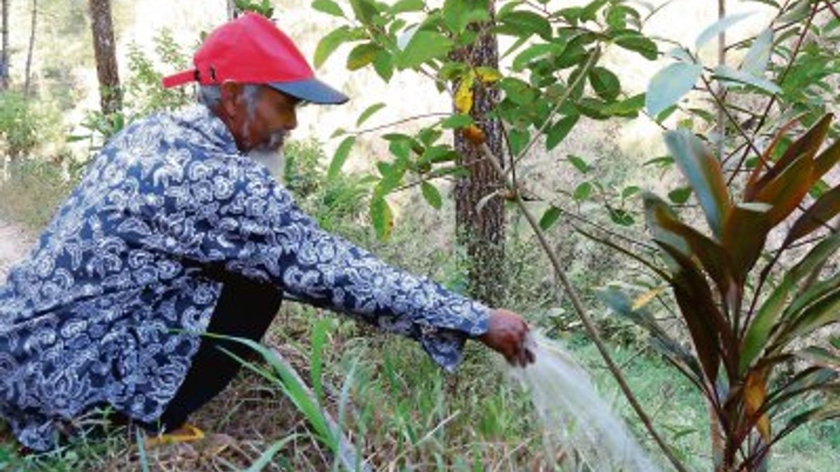 Indonesio sembró 11 mil árboles: Logró revertir la sequía y la deforestación